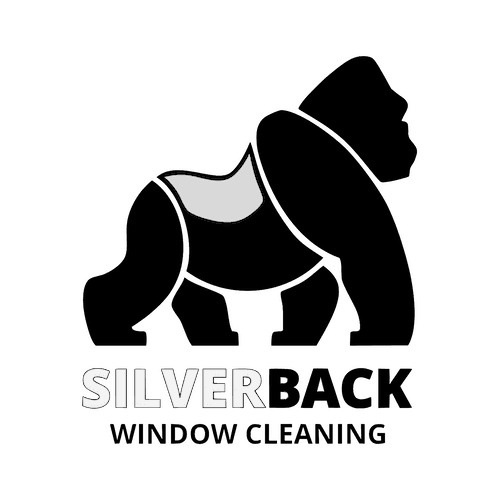 Silverback Window Cleaning